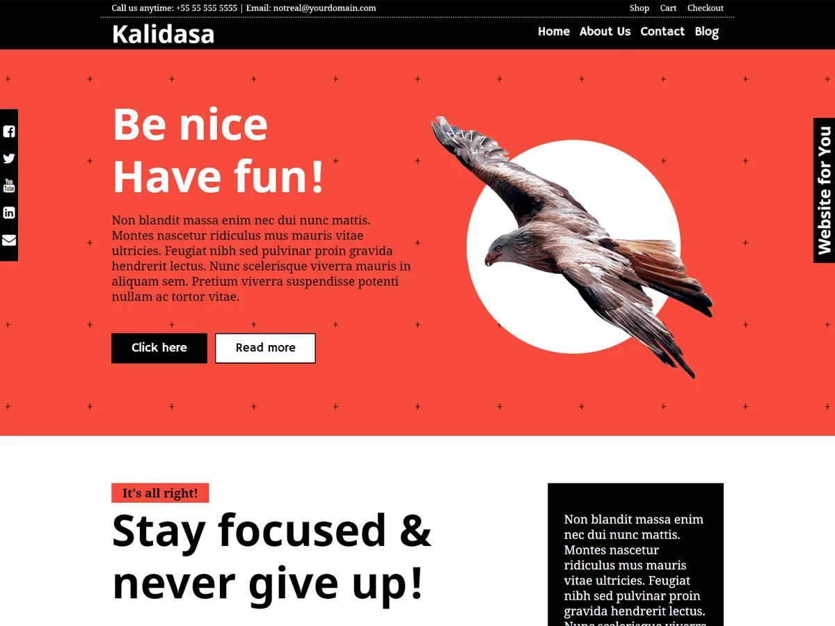 Kalidasa web sitesi teması önizlemesi