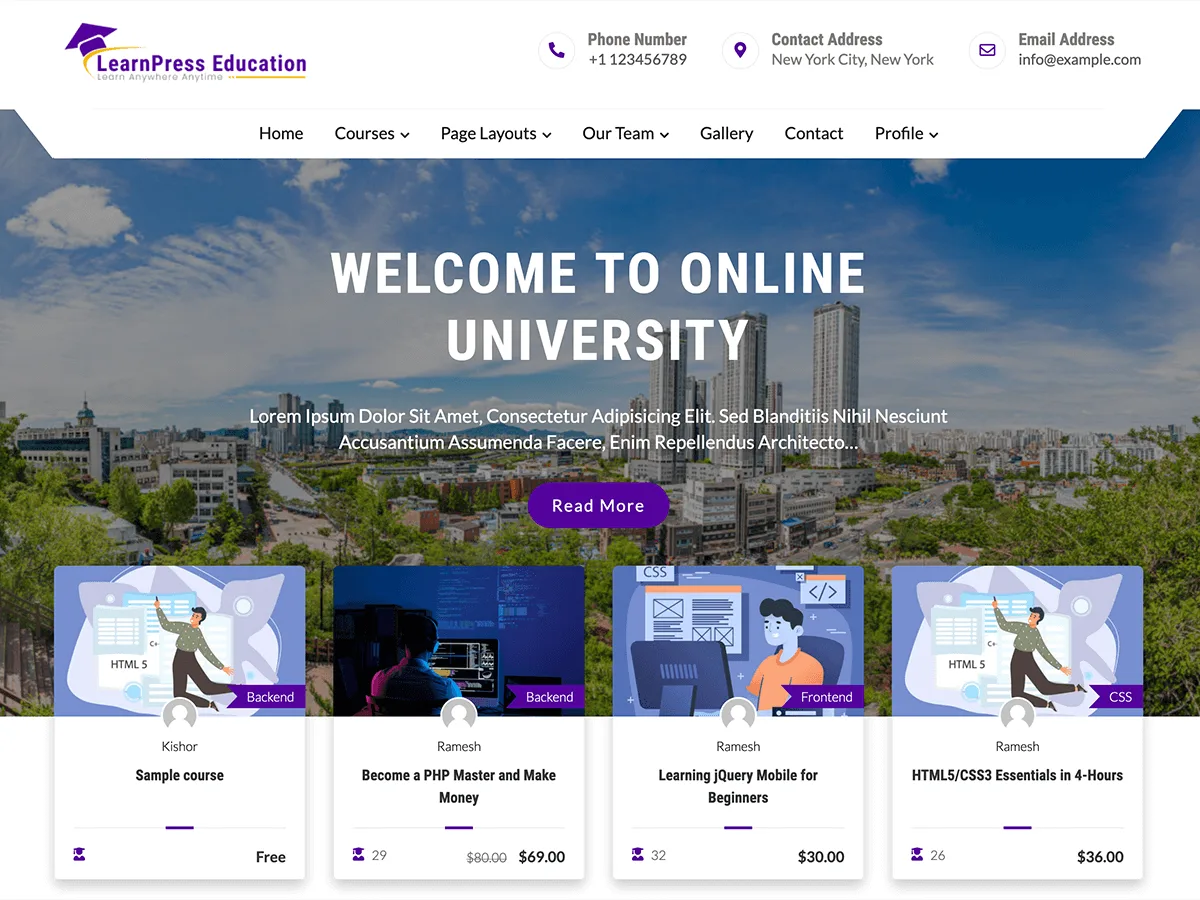 Learn Press Education web sitesi teması önizlemesi