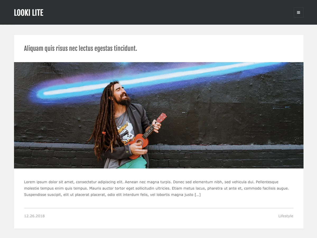 Looki Lite web sitesi teması önizlemesi