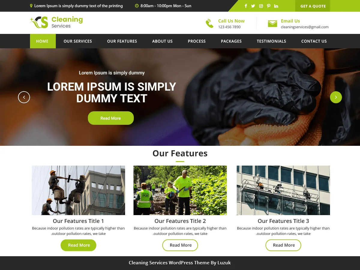 LZ Cleaning Services web sitesi teması önizlemesi