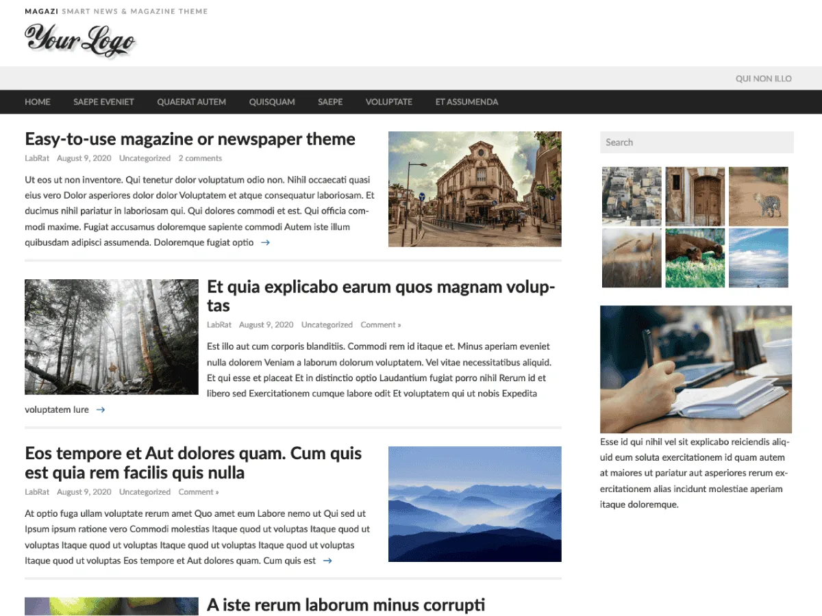 Magazi web sitesi temasının görünümü