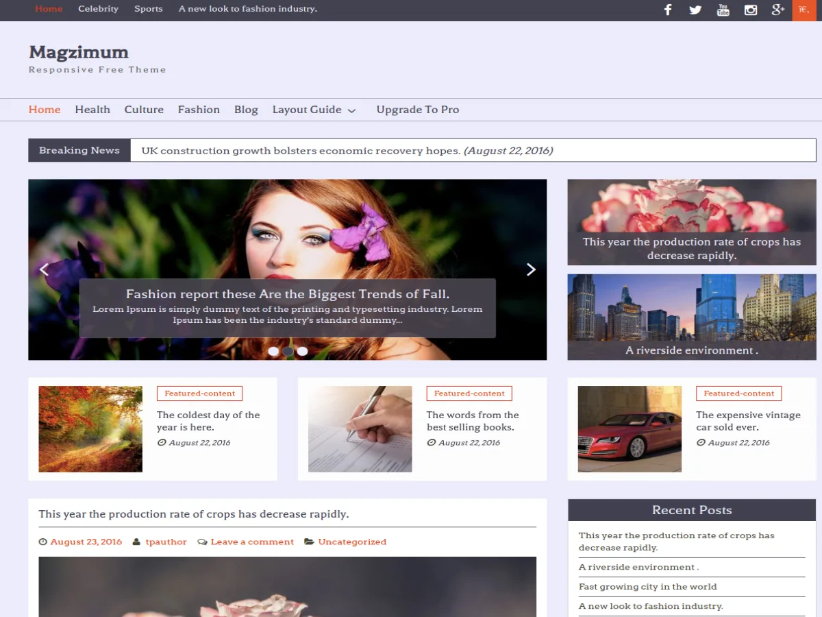 Magzimum web sitesi teması önizlemesi