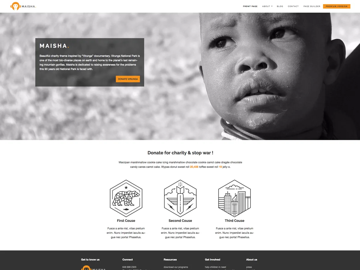 Maisha Lite web sitesi teması önizlemesi