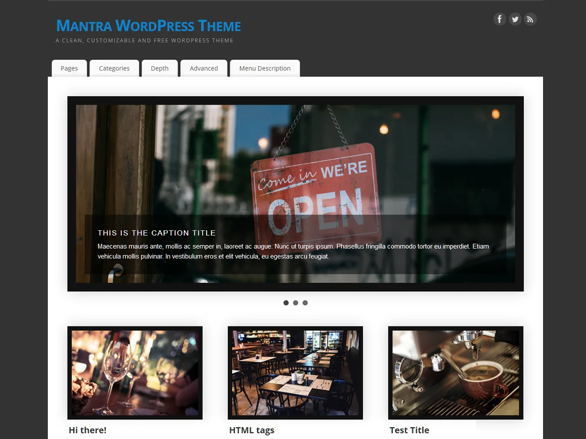Mantra WordPress theme customization options
