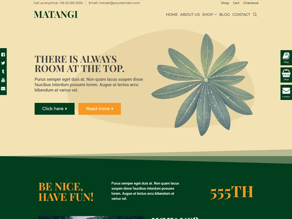 Matangi web sitesi teması ile modern ve çok yönlü bir web sitesi tasarımı