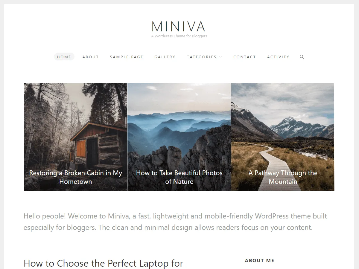 Miniva web sitesi teması önizlemesi