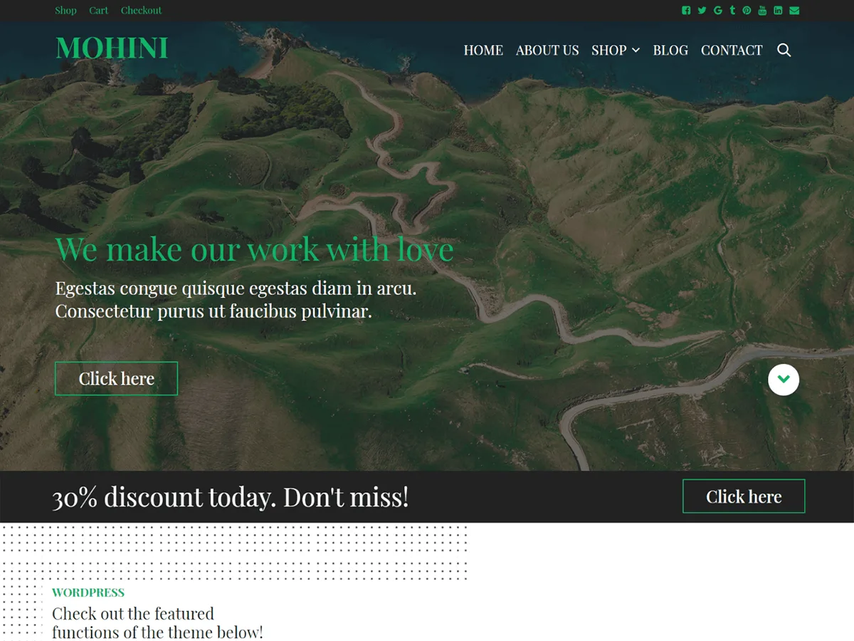 Mohini web sitesi teması ile oluşturulmuş modern bir web sitesi görünümü