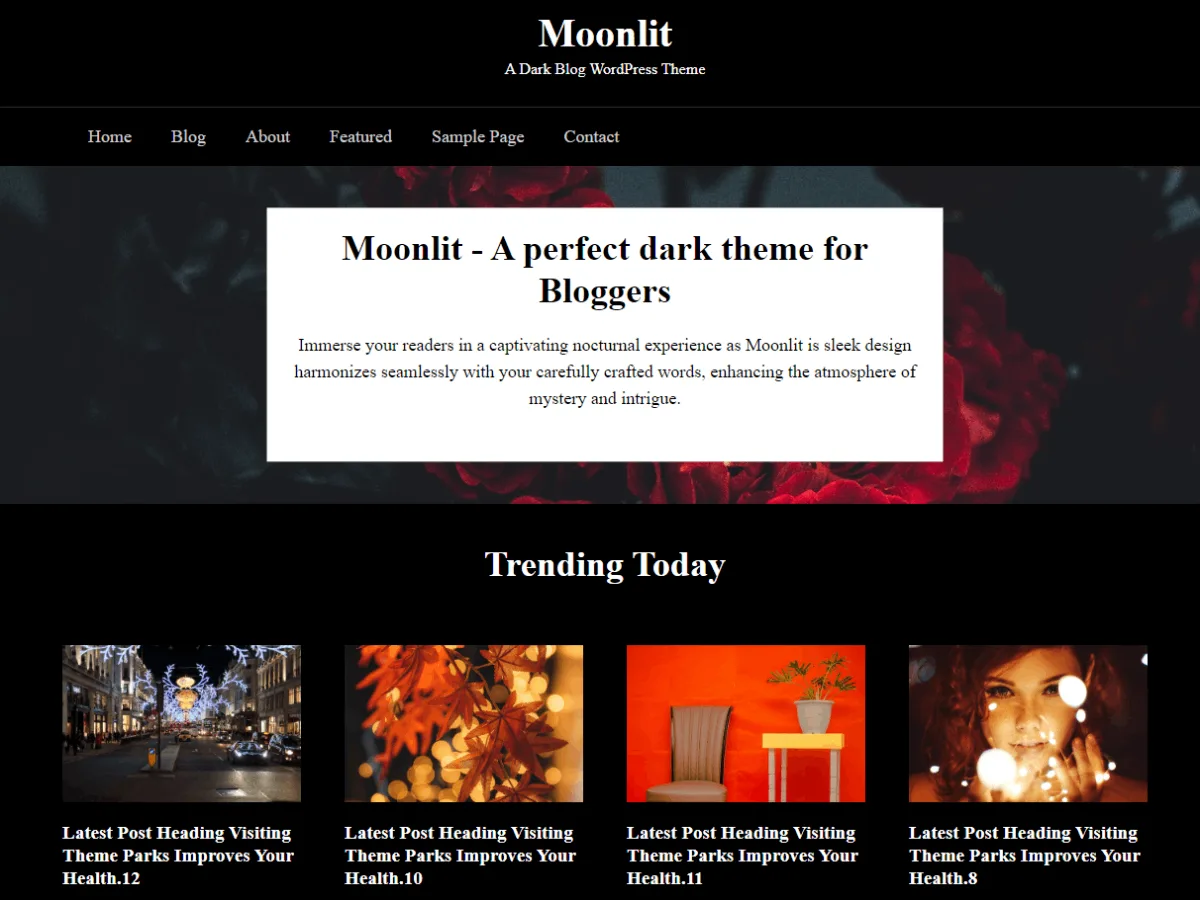 Moonlit Dark web sitesi teması koyu tasarım örneği