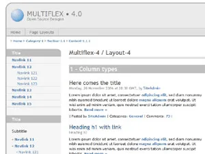 Multiflex-4 web sitesi teması önizlemesi