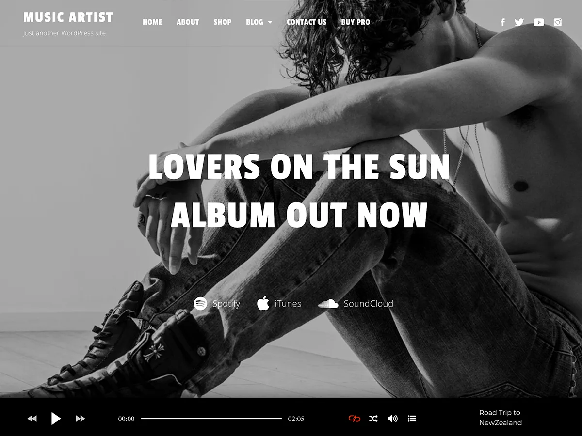 Music Artist web sitesi teması ile müzik odaklı bir web sitesi tasarımı