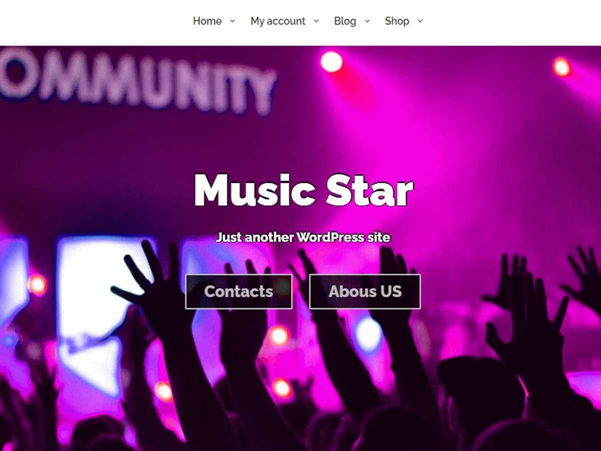 Music Star web sitesi teması önizlemesi