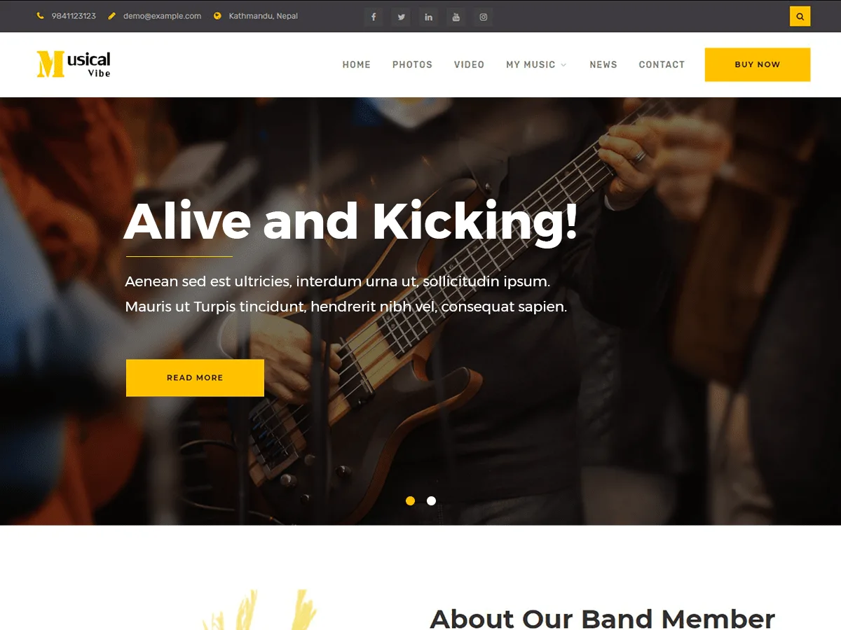 Musical Vibe web sitesi teması önizlemesi