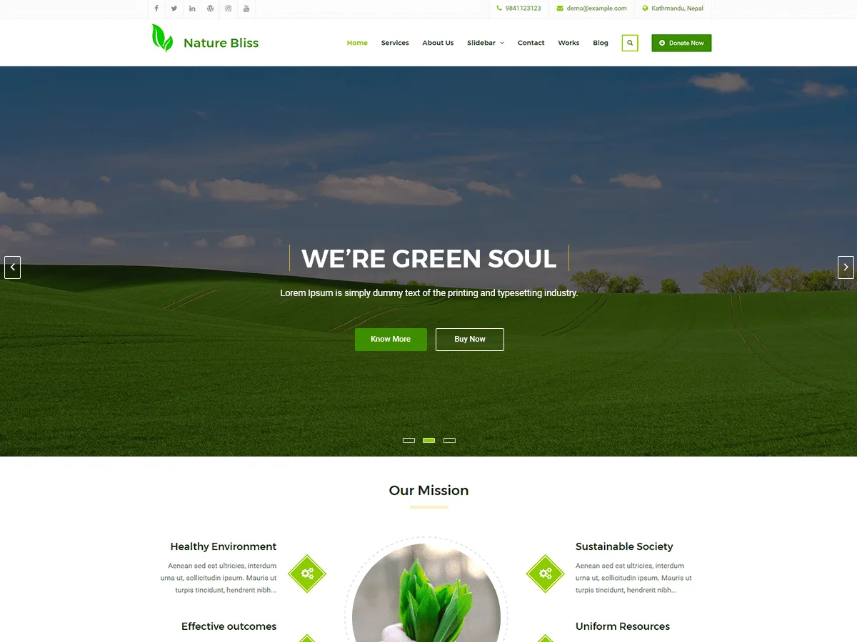 Nature Bliss web sitesi teması önizlemesi