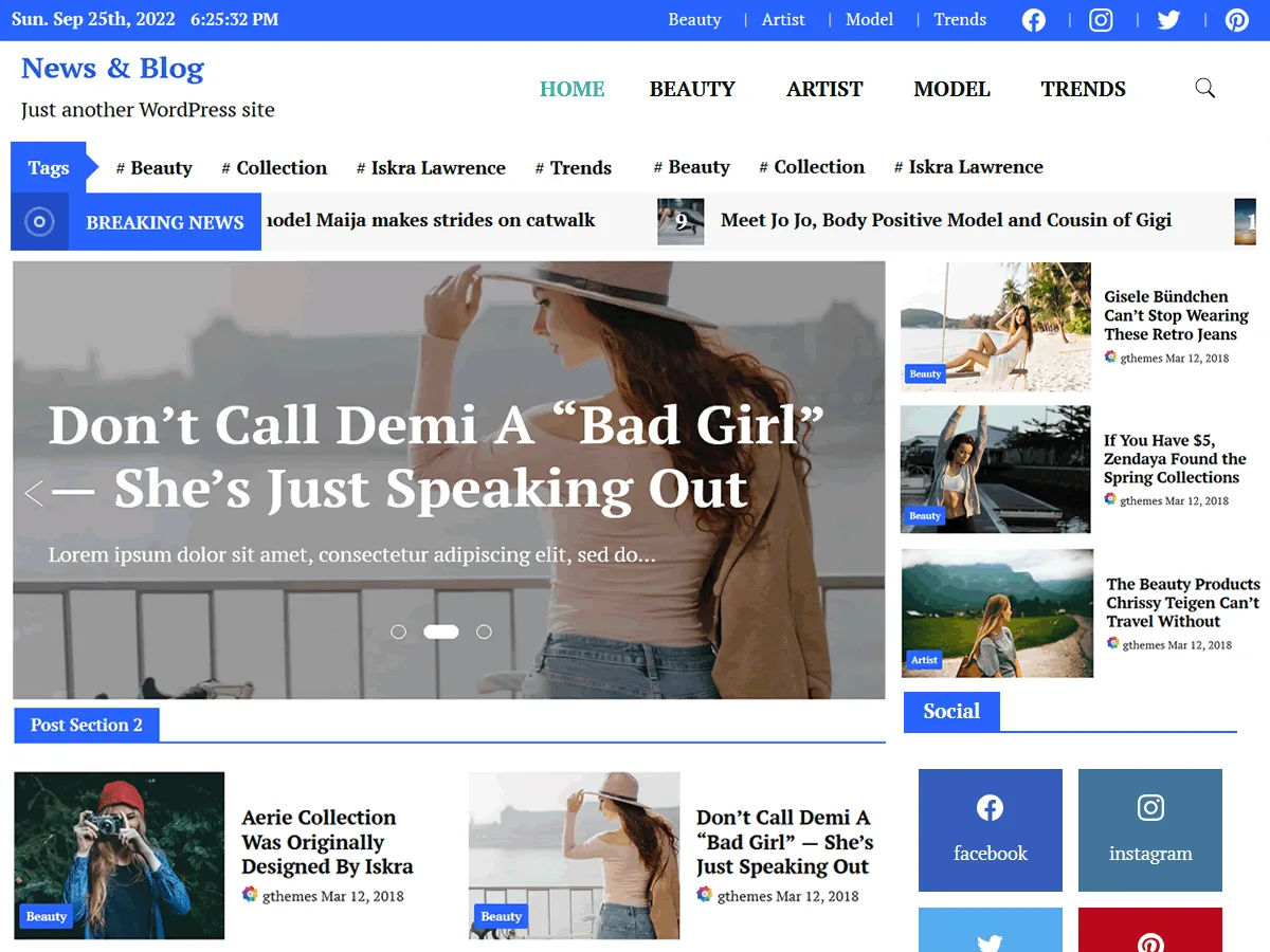 News Blog web sitesi teması önizlemesi