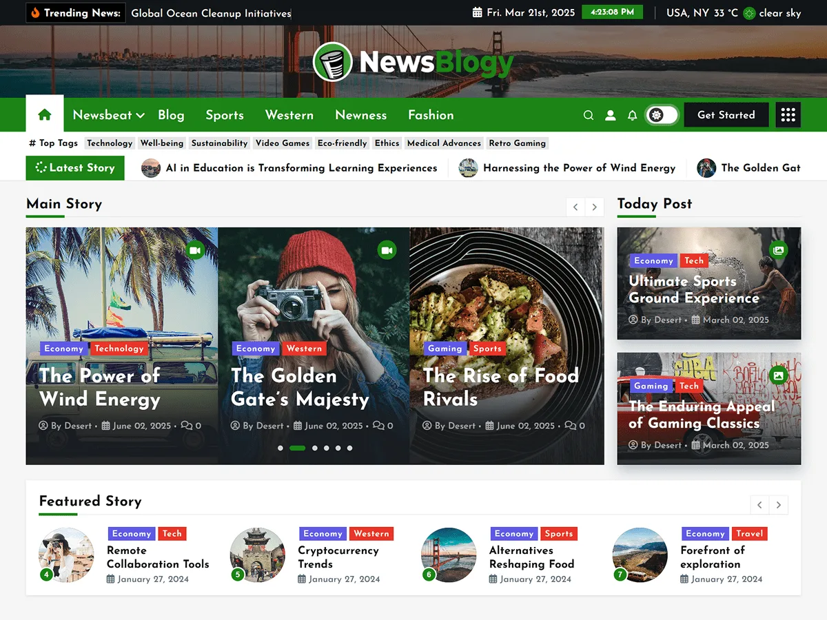 NewsBlogy web sitesi teması önizlemesi