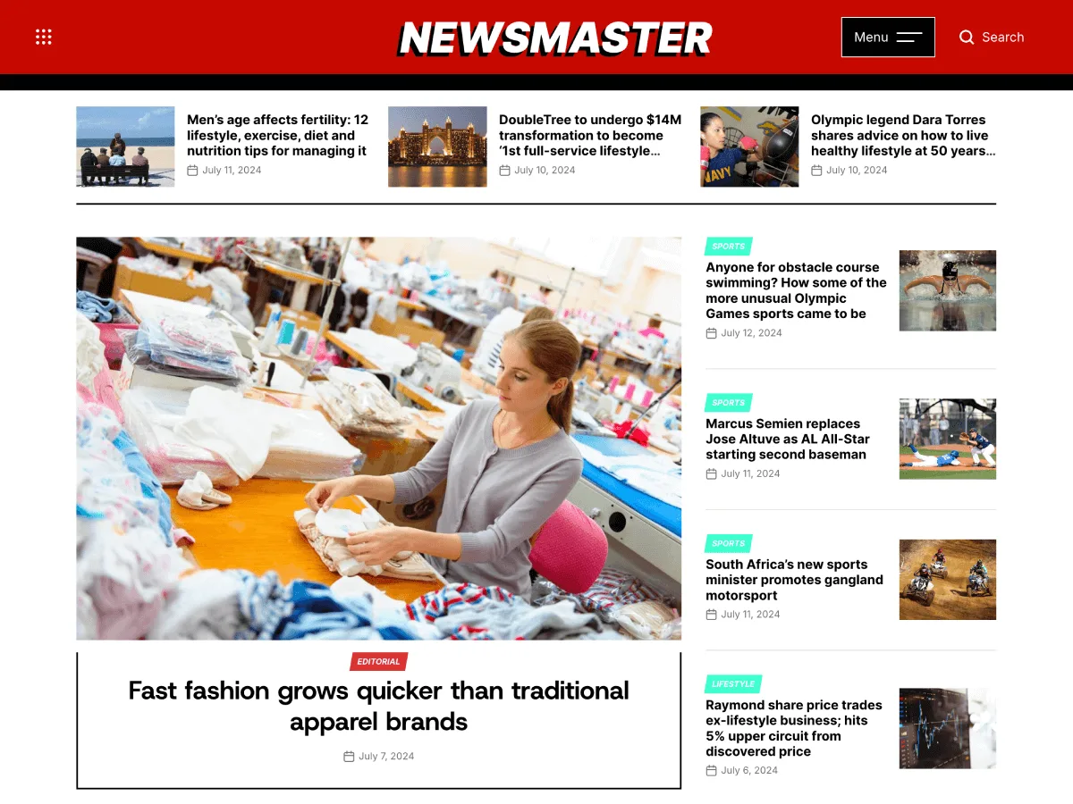 NewsMaster web sitesi teması önizlemesi