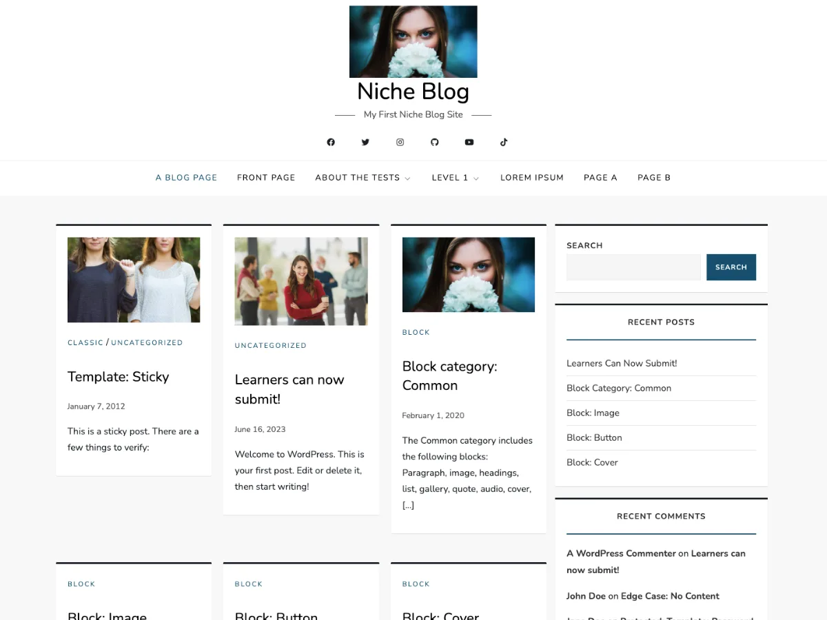 Niche Blog web sitesi teması önizlemesi