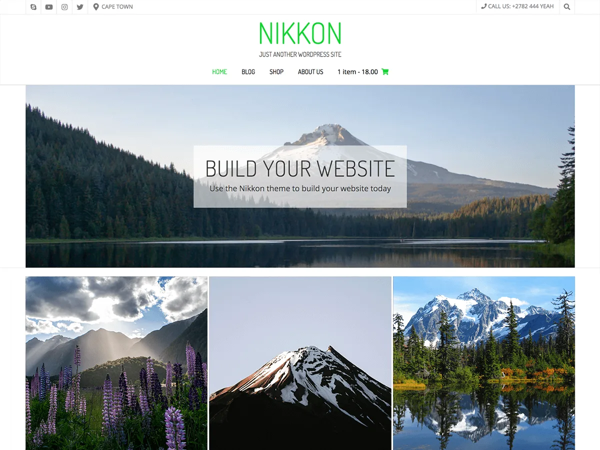 Nikkon web sitesi teması önizlemesi