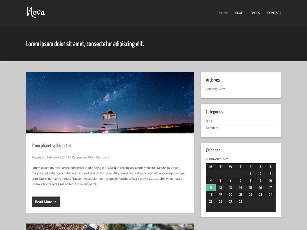 Nova Lite web sitesi teması önizlemesi