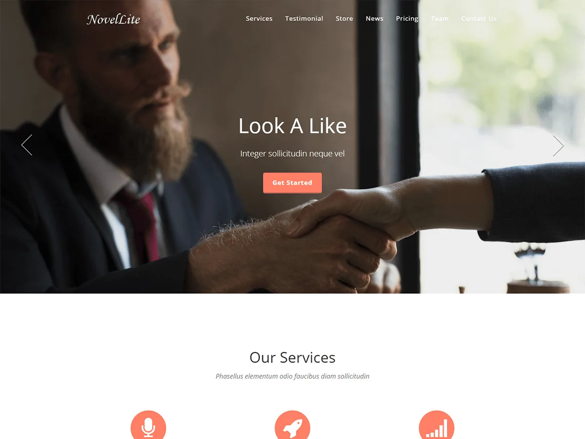NovelLite web sitesi teması önizlemesi