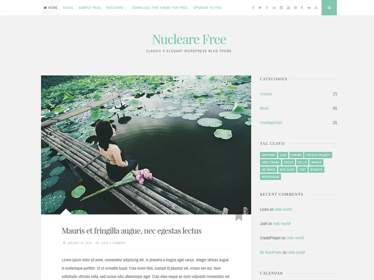 Nucleare web sitesi teması önizlemesi