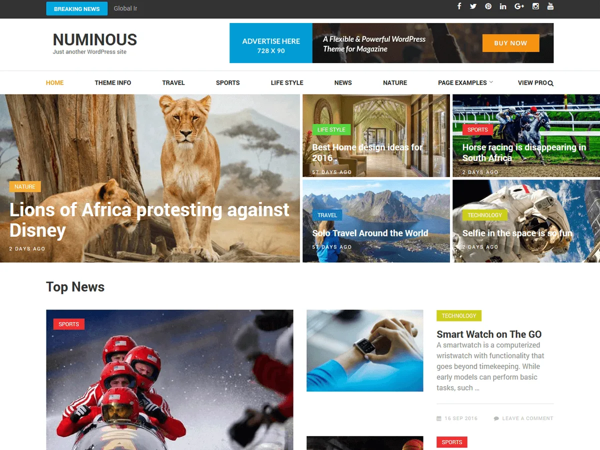 Numinous web sitesi teması önizlemesi