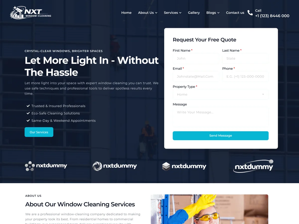 NXT Window Cleaning web sitesi teması önizlemesi