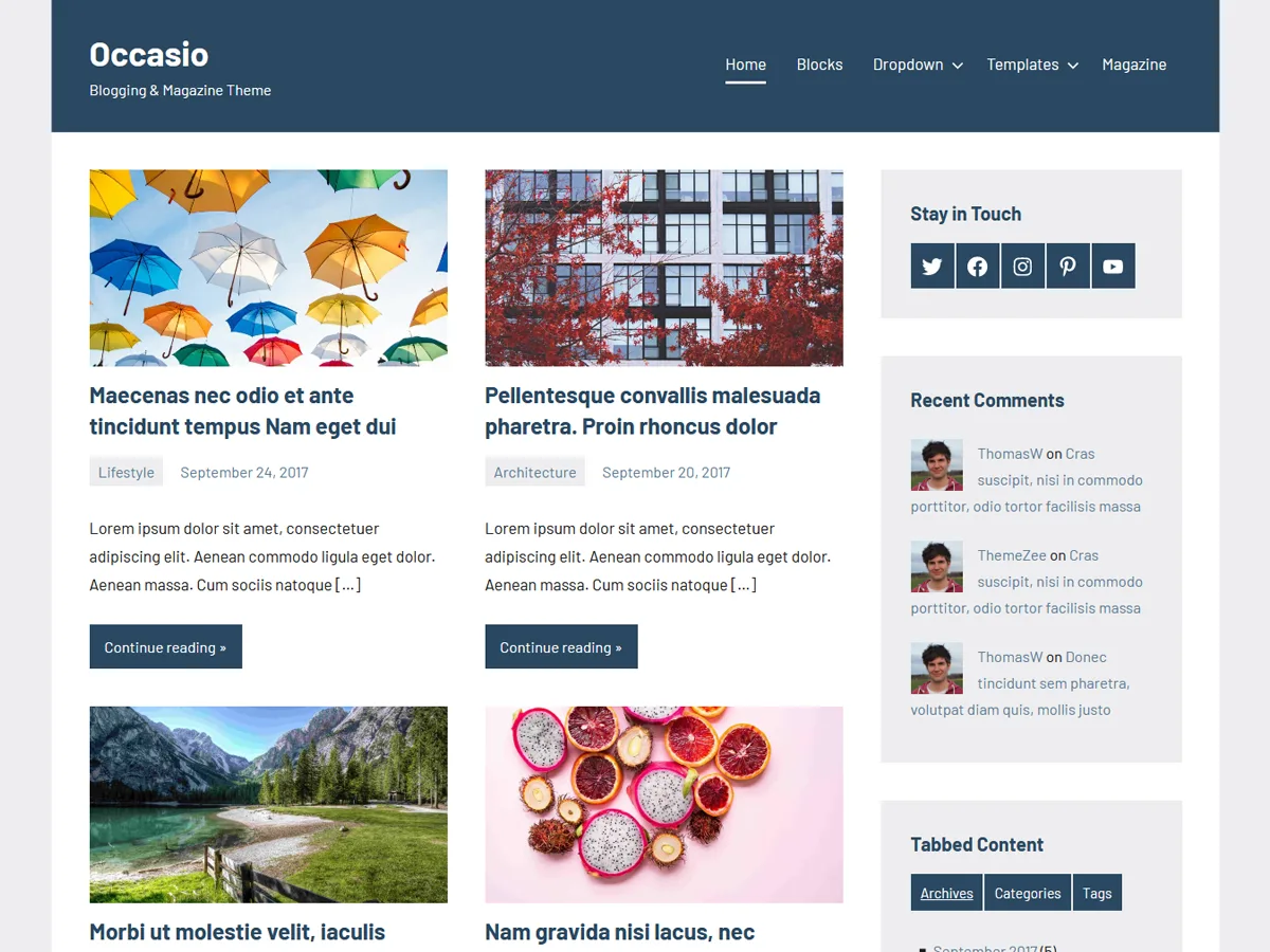Occasio web sitesi teması önizlemesi