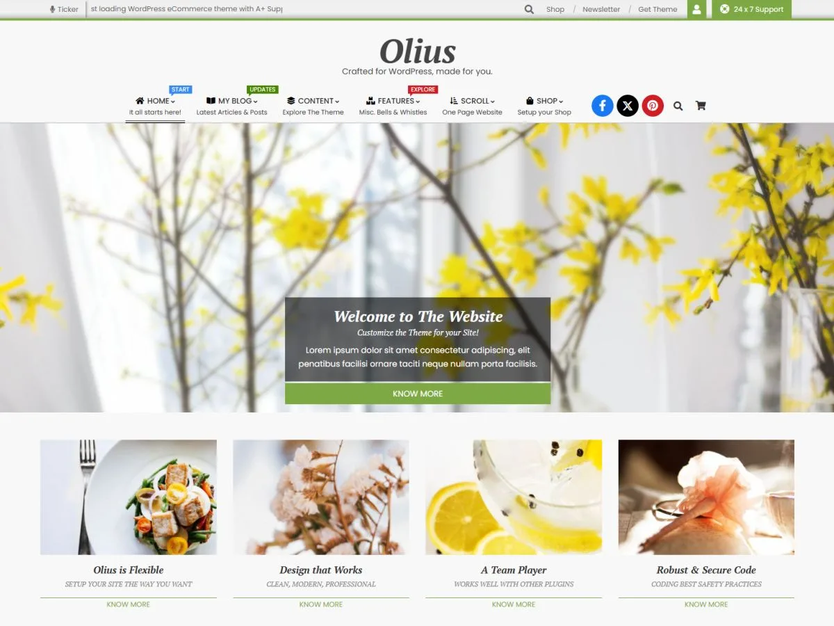 Olius web sitesi teması ile oluşturulmuş modern bir web sitesi görünümü