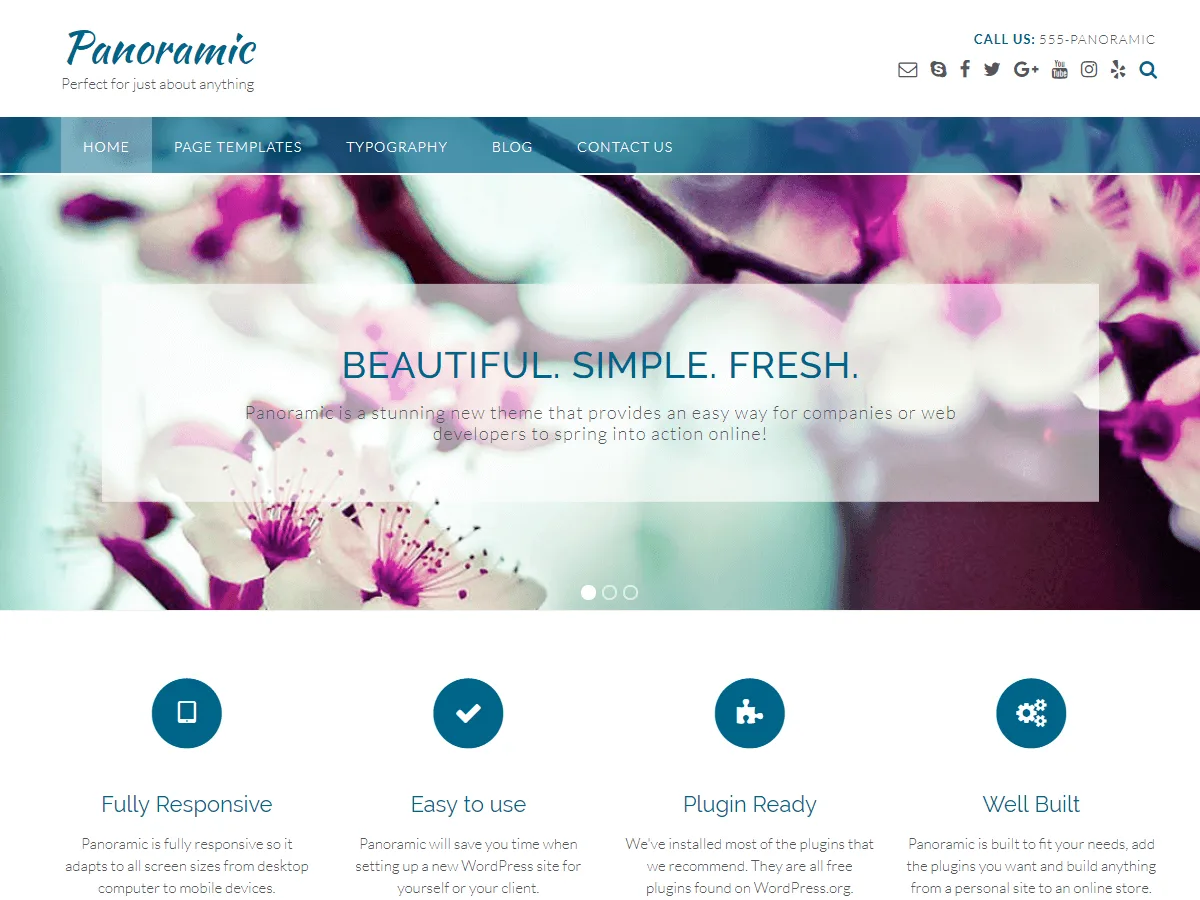 Panoramic web sitesi teması önizlemesi
