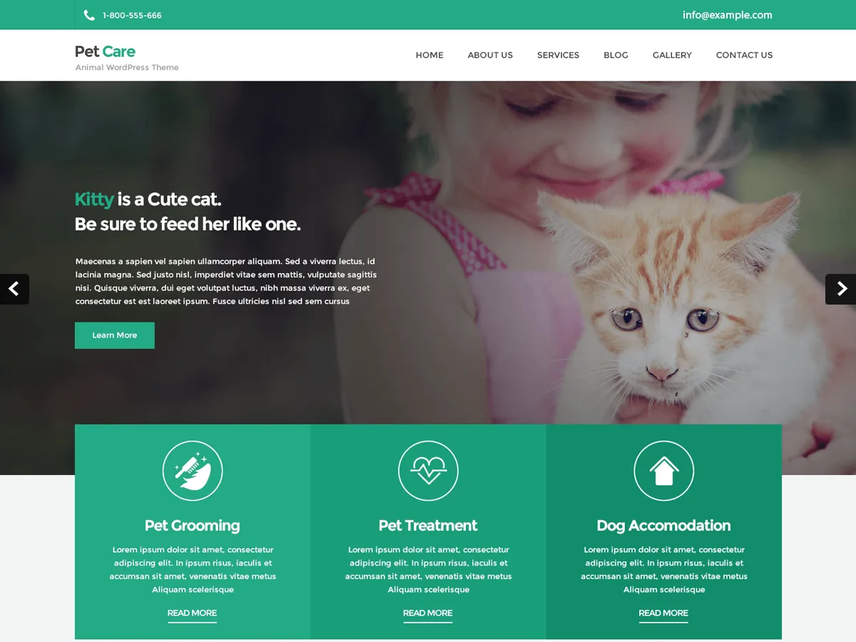 Petcare Lite web sitesi teması önizlemesi