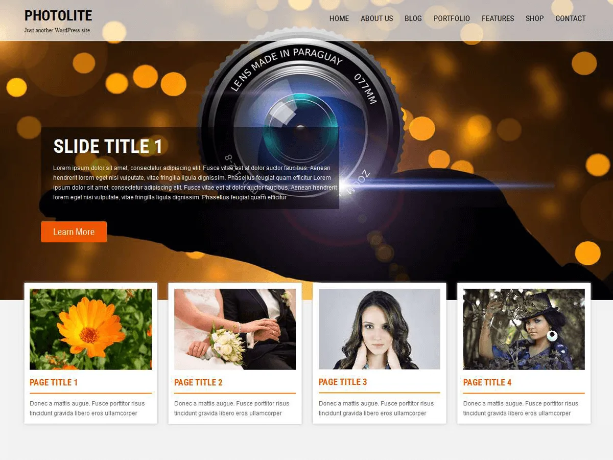 Photolite web sitesi teması önizlemesi