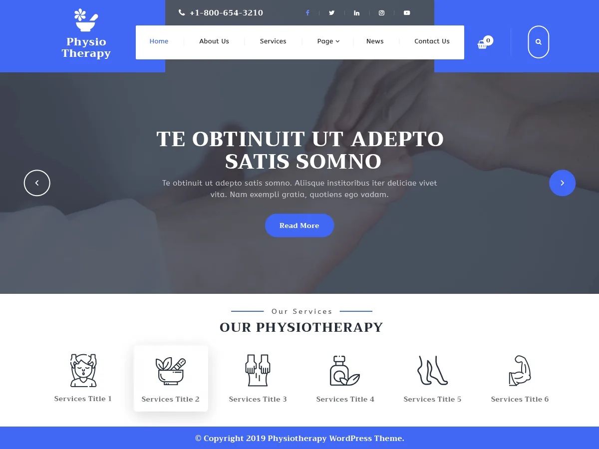 Physiotherapy Lite web sitesi teması görseli