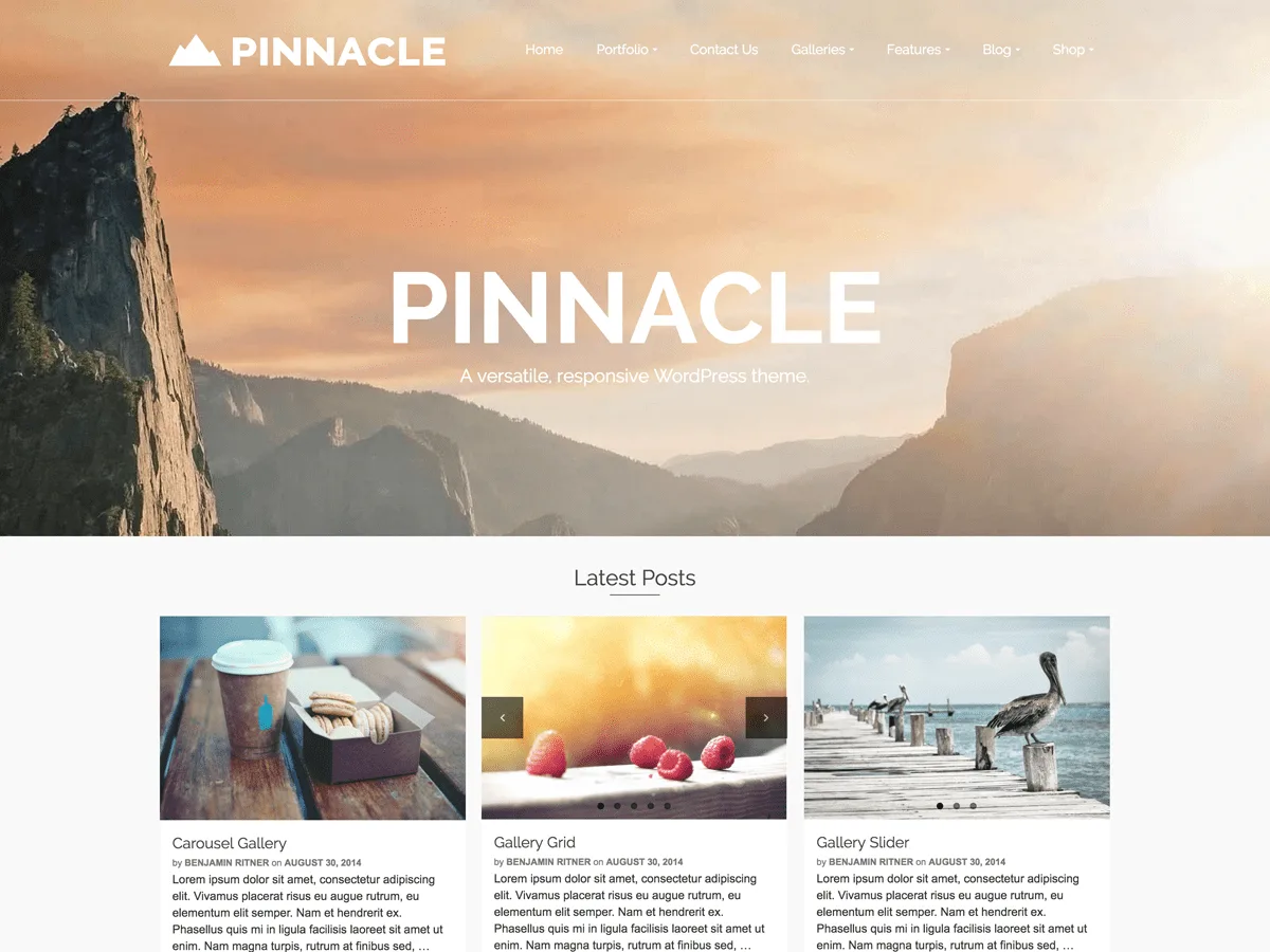 Pinnacle web sitesi teması önizlemesi