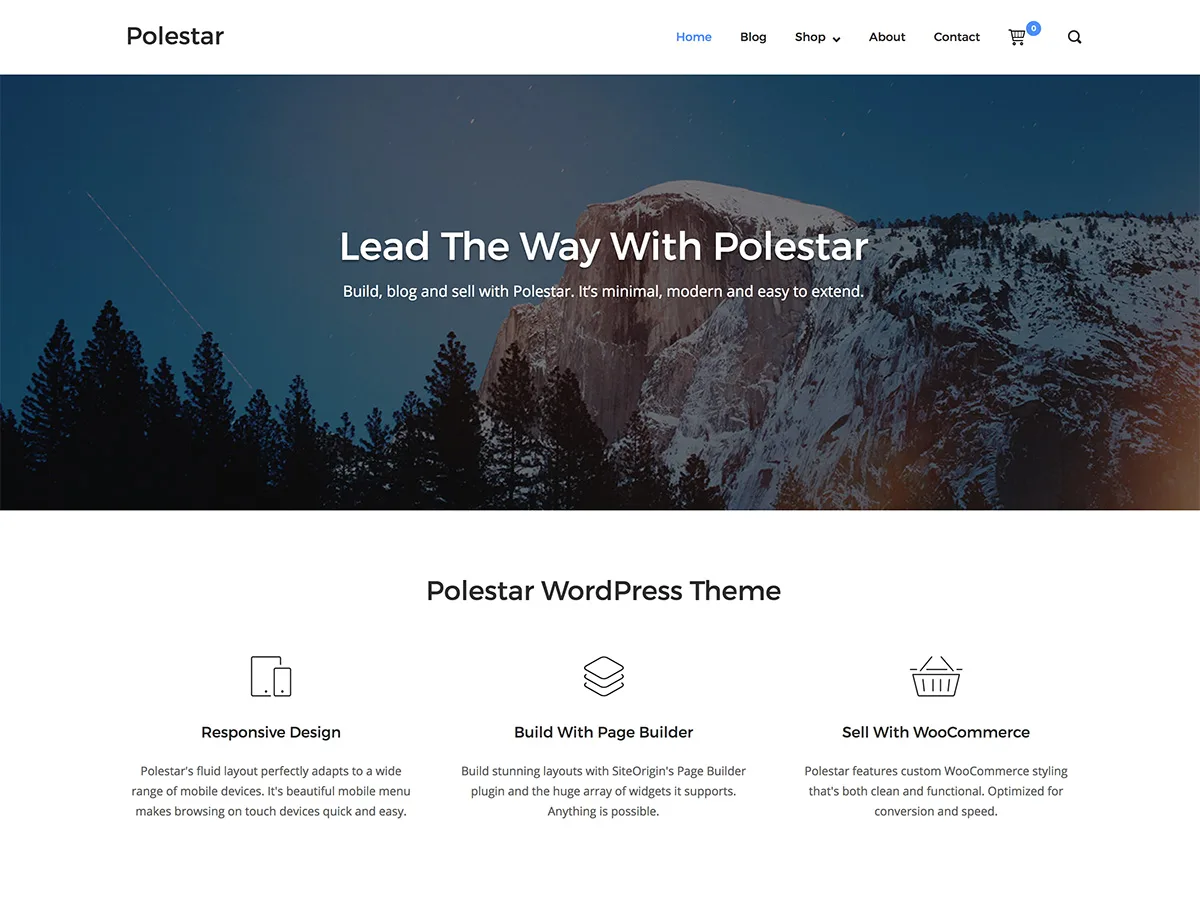 Polestar web sitesi teması önizlemesi