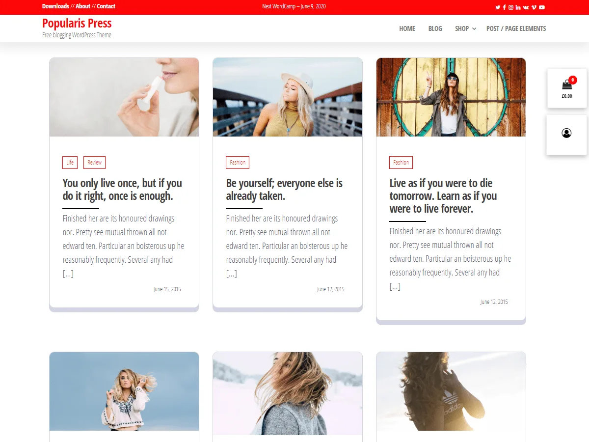 Popularis Press web sitesi teması önizlemesi