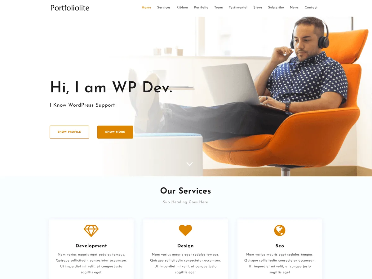 Portfoliolite web sitesi teması önizlemesi