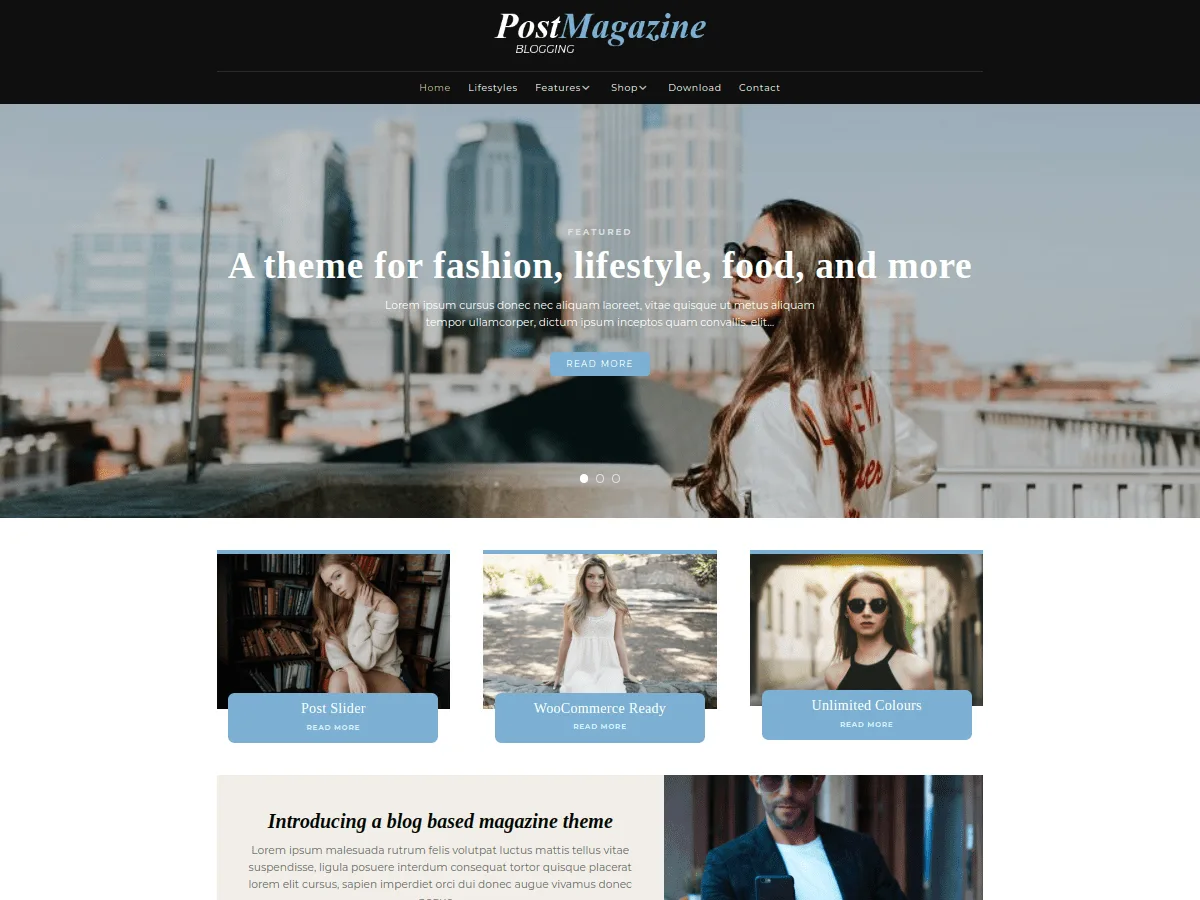 PostMagazine web sitesi teması önizlemesi