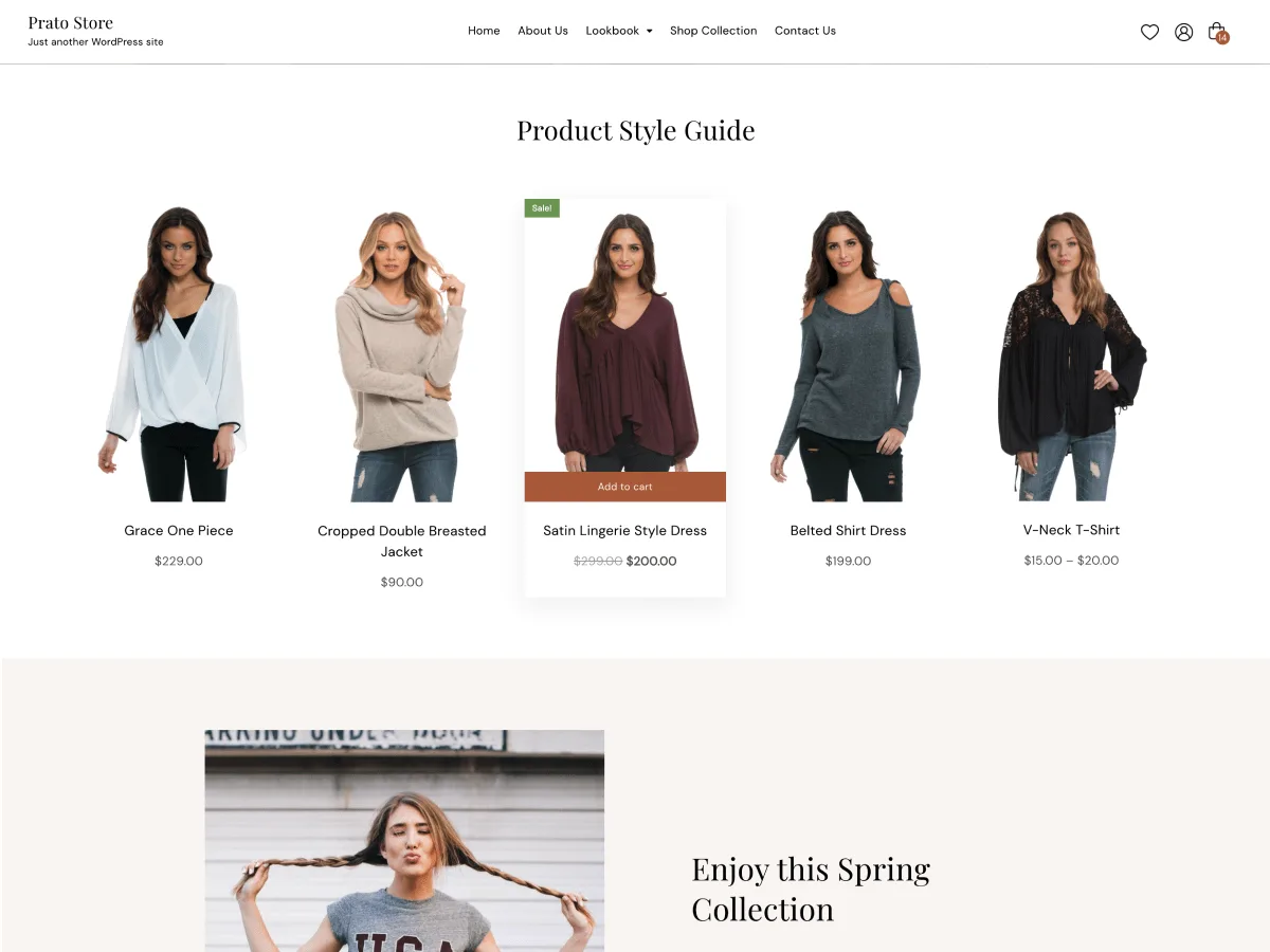 Prato Store web sitesi teması önizlemesi
