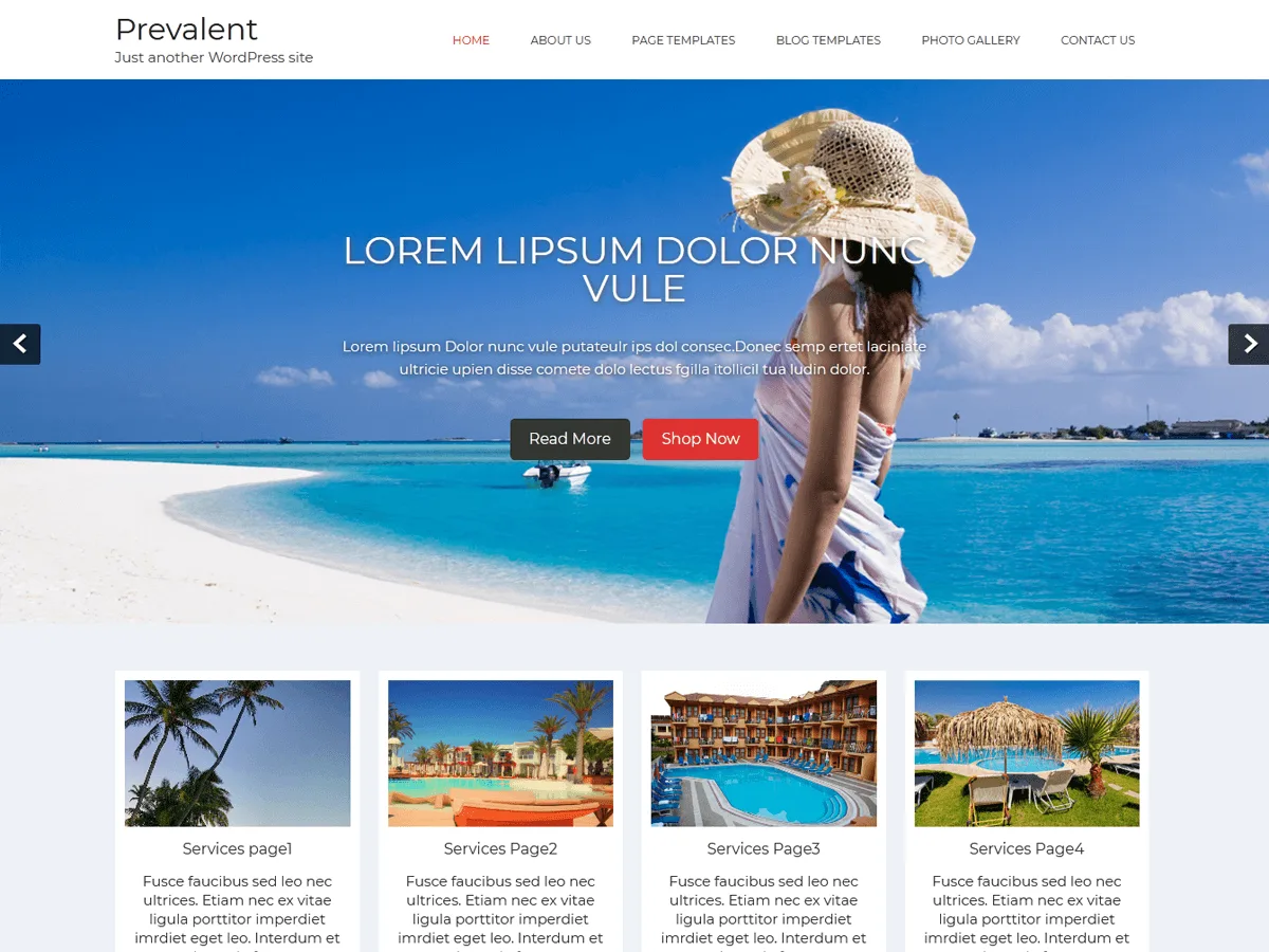Prevalent web sitesi teması önizlemesi