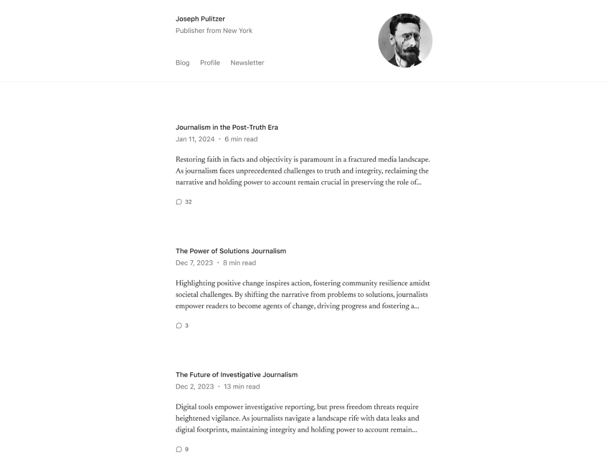 Pulitzer web sitesi teması önizlemesi