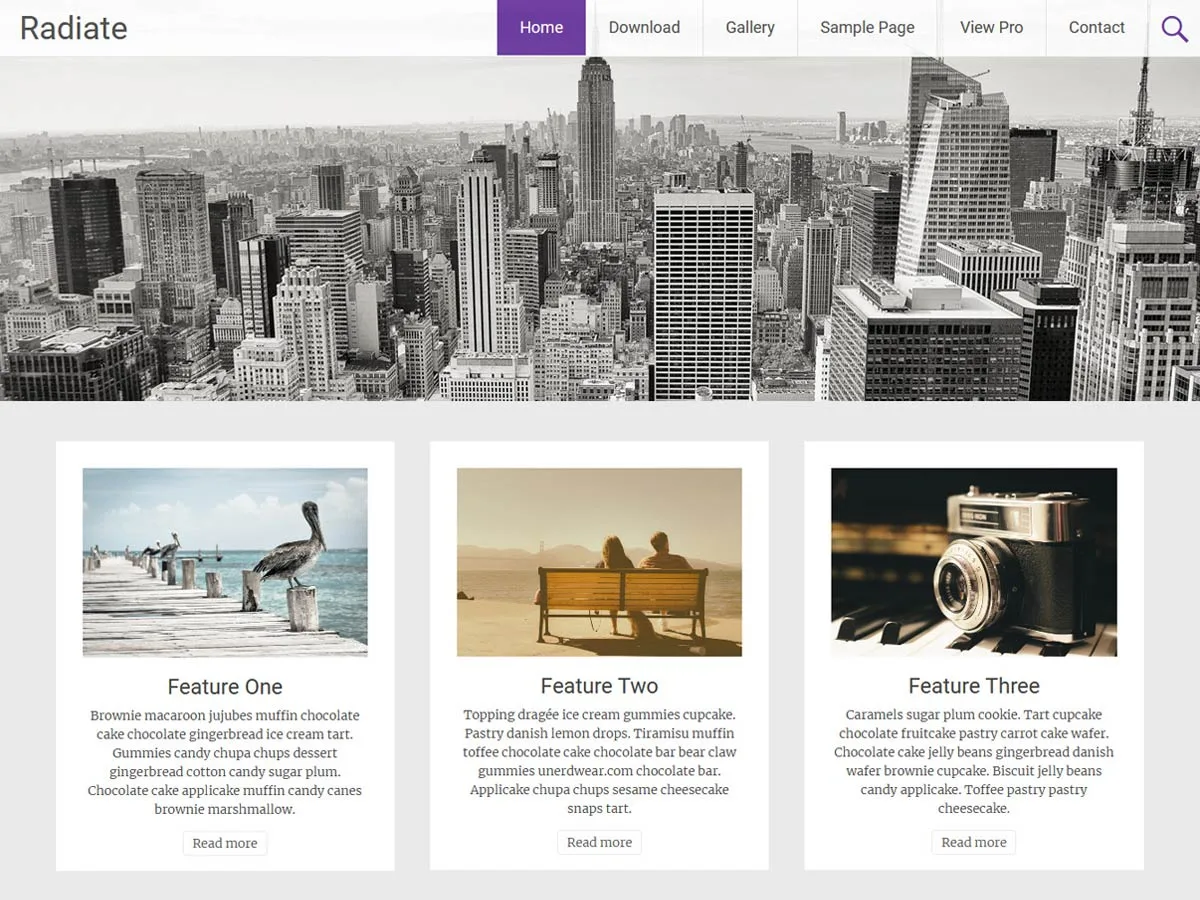 Radiate WordPress theme demo screenshot