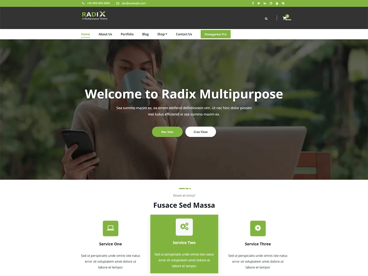 Radix Multipurpose web sitesi teması önizlemesi