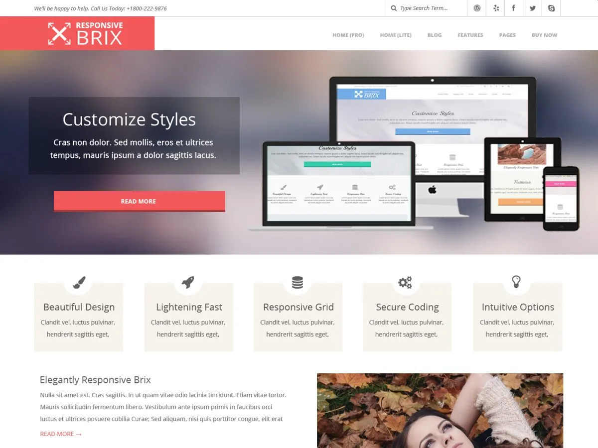 Responsive Brix WordPress theme homepage preview