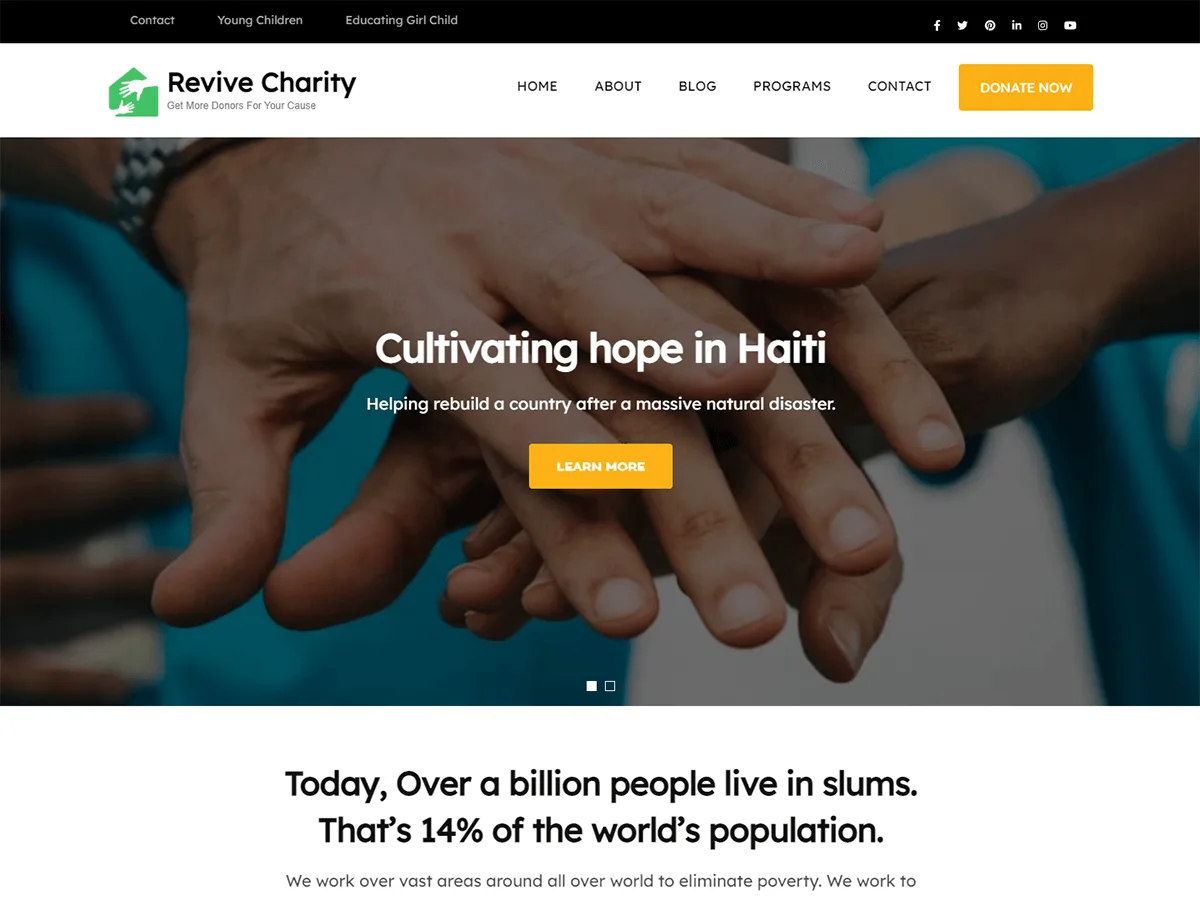 Revive Charity web sitesi teması önizlemesi