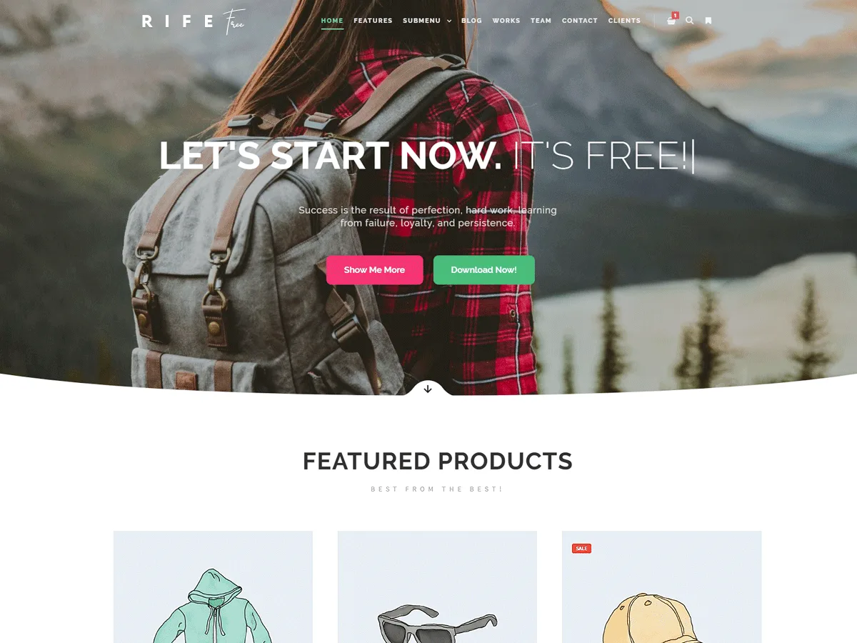Rife Free WordPress theme demo layout