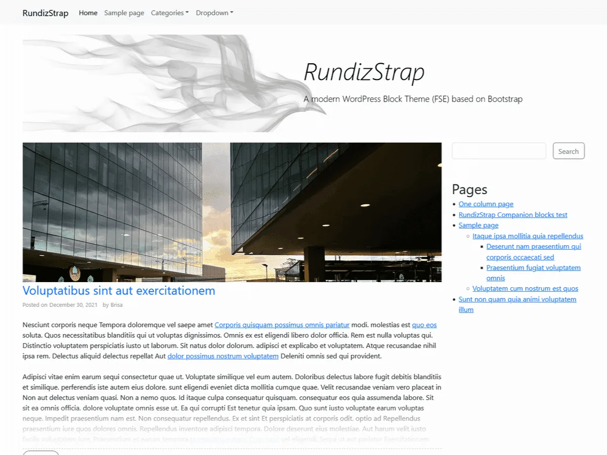 RundizStrap web sitesi teması önizlemesi