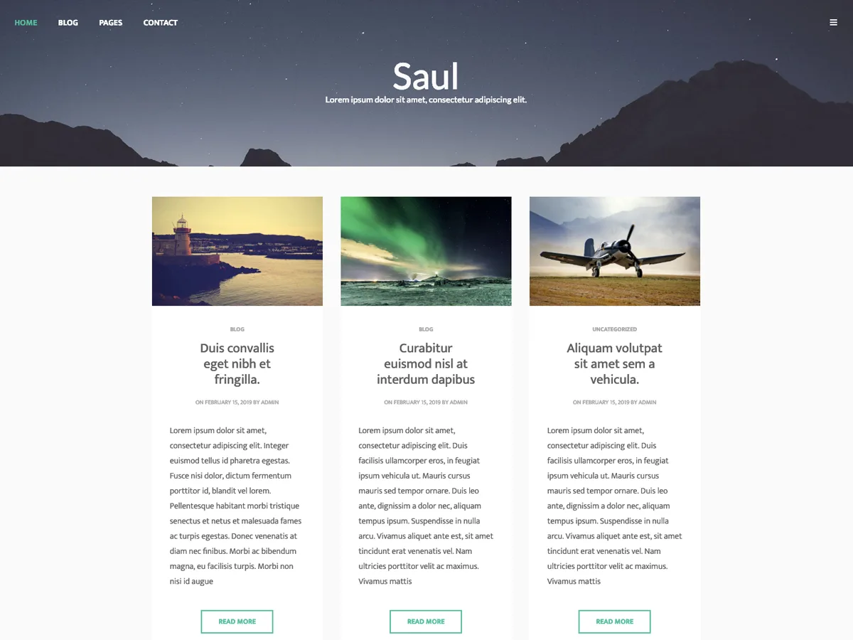 Saul web sitesi teması önizlemesi