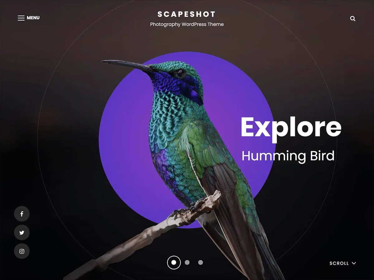 ScapeShot web sitesi teması önizlemesi