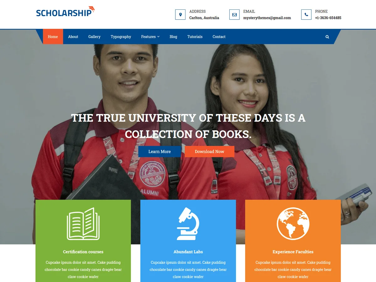 Scholarship eğitim web sitesi teması önizlemesi
